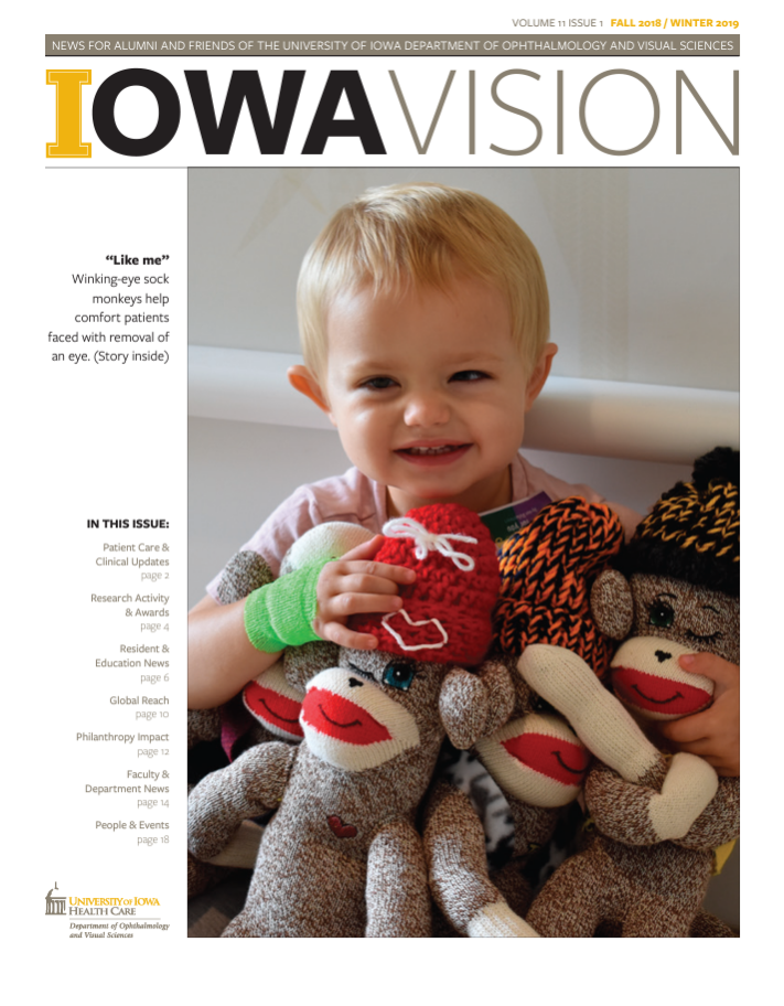 Iowa Vision 2018 Fall/2019 Winter