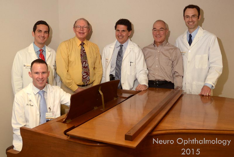 Neuro-Ophthalmology Group, 2015