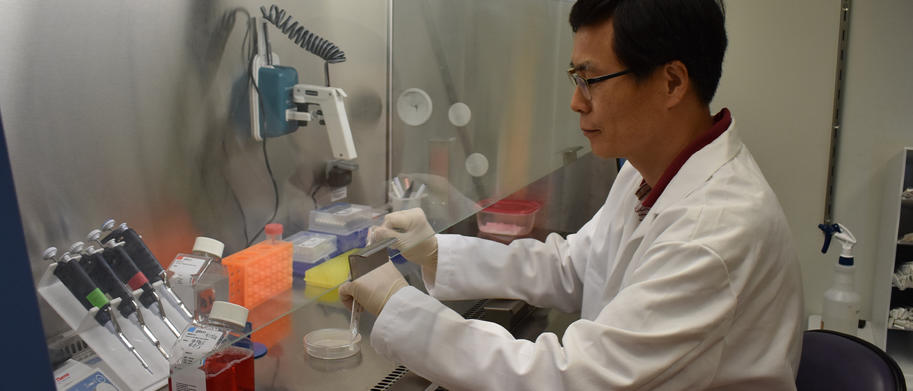 researcher working in lab