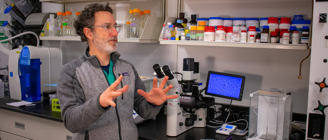 Mark Greiner in lab