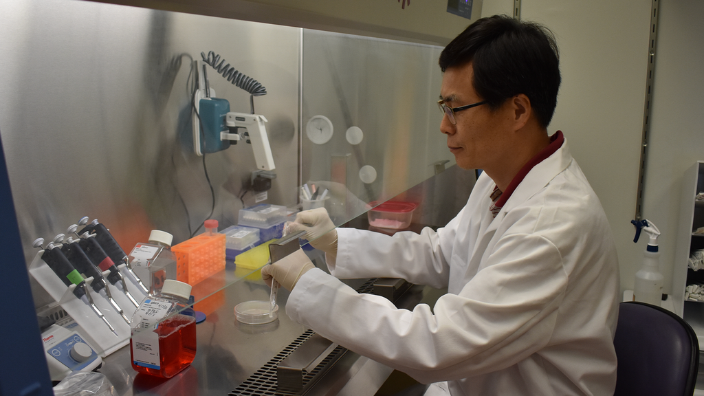 researcher working in lab