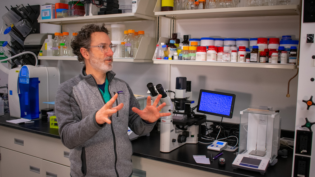 Mark Greiner in lab